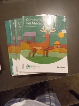MATEMATICAS MOCHILA LIGERA 4 PRIMARIA CONSTRUYE...