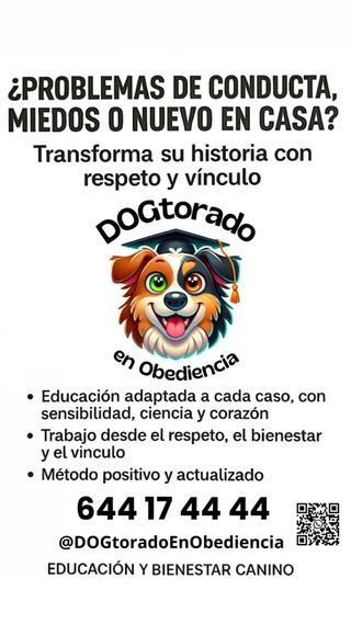 Adiestramiento canino positivo 