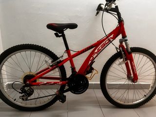 Bicicleta Infantil 20 Pulgadas Roja