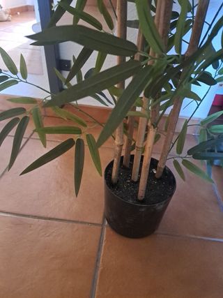 Planta de bambú artificial
