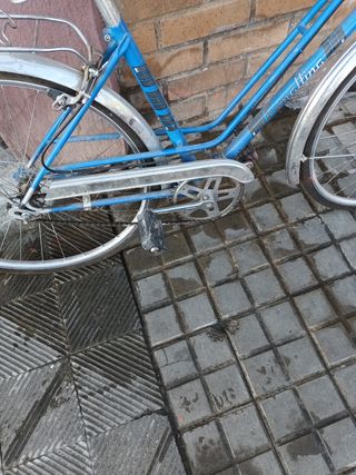 Bicicleta Vintage Esmaltina Varillas Azul