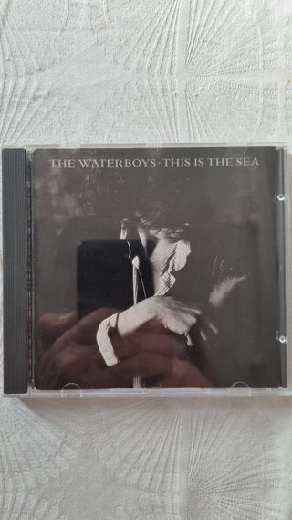 CD The Waterboys - This is the Sea