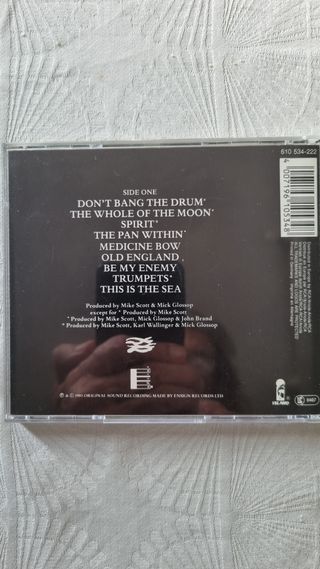 CD The Waterboys - This is the Sea