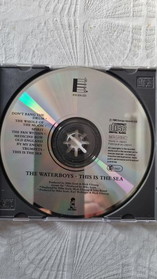 CD The Waterboys - This is the Sea