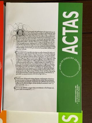 Actas foro de derecho aragonés 