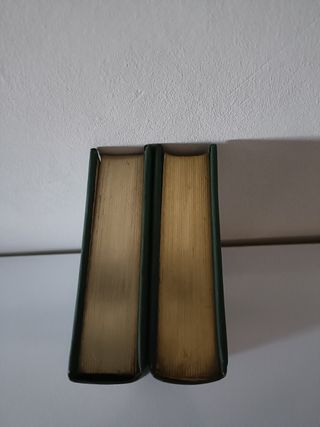 Pack de libros de Máximo Gorki 1. La madre. 2. Bar