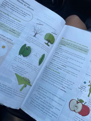 Ciencias de la Naturaleza 3º de primaria Anaya