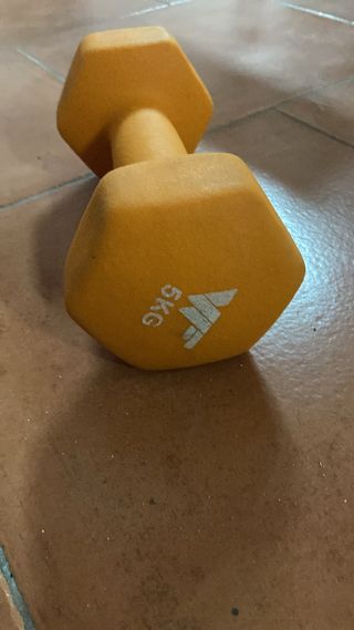 Mancuerna 5kg