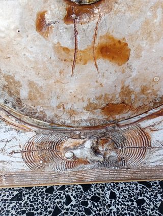 Cuadro Relieve 