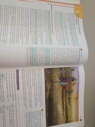 Religión Católica 2.