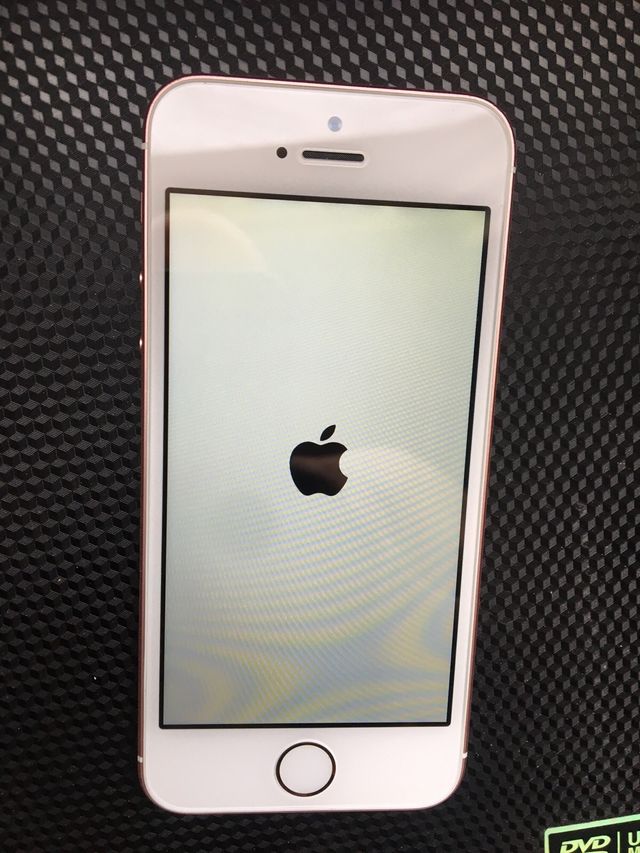 iPhone 5 Blanco/Dorado