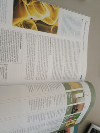 Religión católica. Bachillerato