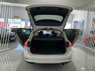 FORD FOCUS SPORTBREAK 1.5 ECOBLUE 120CV TITANIUM