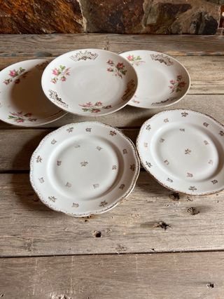 Lote de 5 platos vintage con flores.