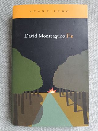 Fin (Narrativa del Acantilado) (Spanish Edition)