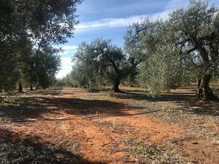 Terreno en venta en Bollullos de la Mitación