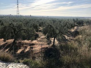 Terreno en venta en Bollullos de la Mitación
