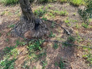 Terreno en venta en Bollullos de la Mitación