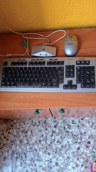 Teclado y ratón Agiler