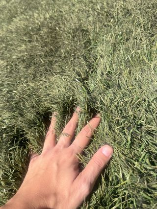 Césped artificial