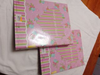 Lote 2 Álbumes Fotos Princesas Disney