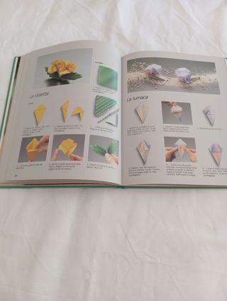 Libri Origami, Costruire, Creare Giocando