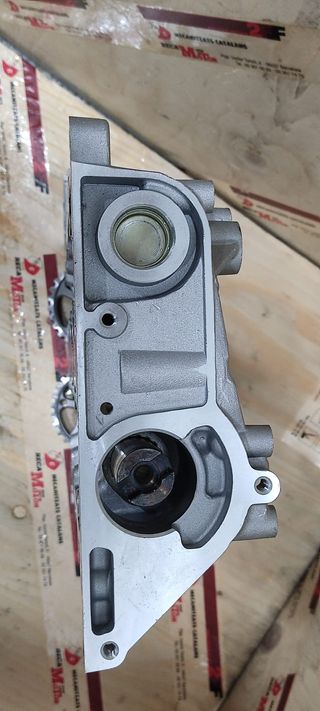 Culatin con árboles de levas Ford 2.0 EcoBlue