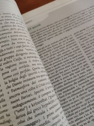 Divina Commedia. Canti scelti