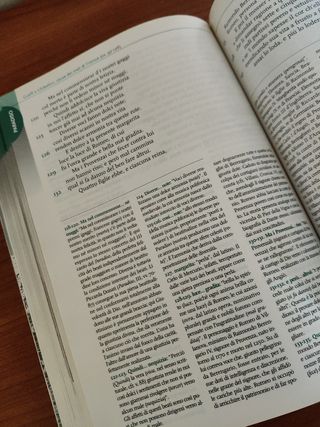 Divina Commedia. Canti scelti