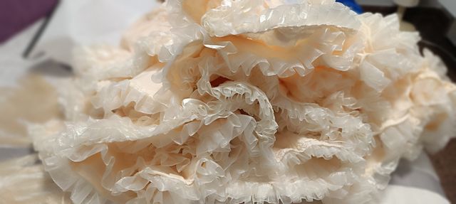 Vestido de flamenca beige