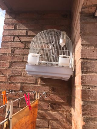 Jaula para pájaros blanca
