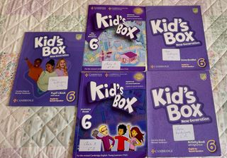 Kid's Box Level 6 Activity Book with CD ROM and...