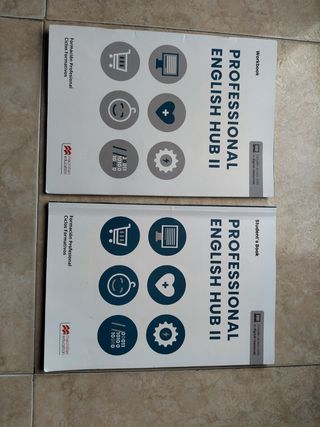 Professional English Hub II