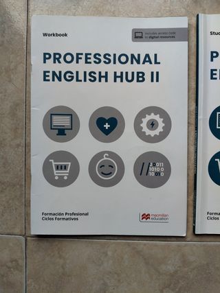 Professional English Hub II