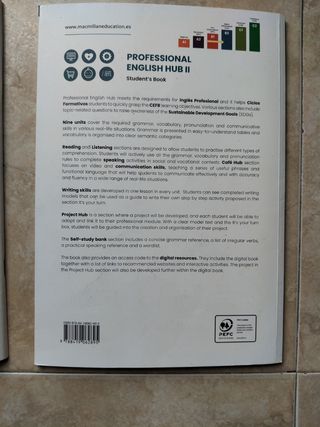 Professional English Hub II