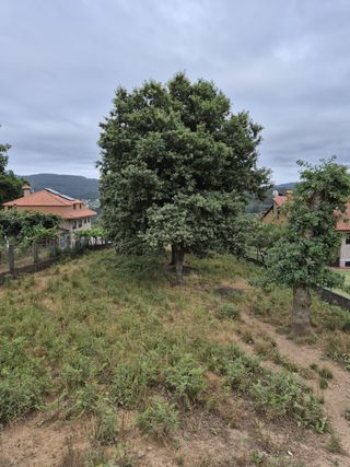 Terreno listo para construir