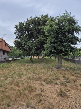 Terreno listo para construir