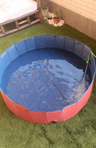 Piscina plegable para perros y niños