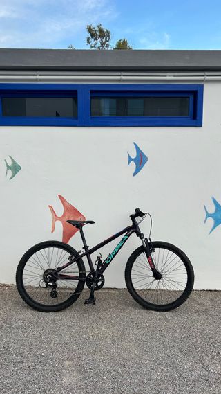 Bicicleta Orbea MX24