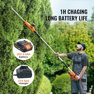 Tagliasiepi Elettrico a Batteria Asta Telescopica