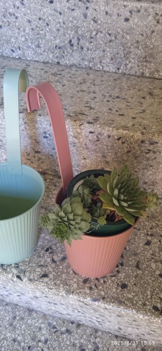 Vasi da appendere colorati