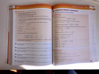Matematica in esercizio 2 per le scuole superiori