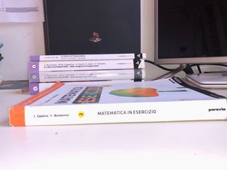 Matematica in esercizio 2 per le scuole superiori