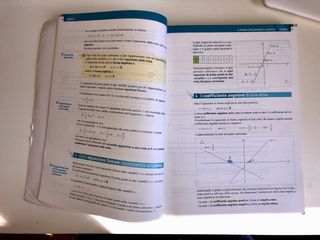 Matematica in esercizio 2 per le scuole superiori
