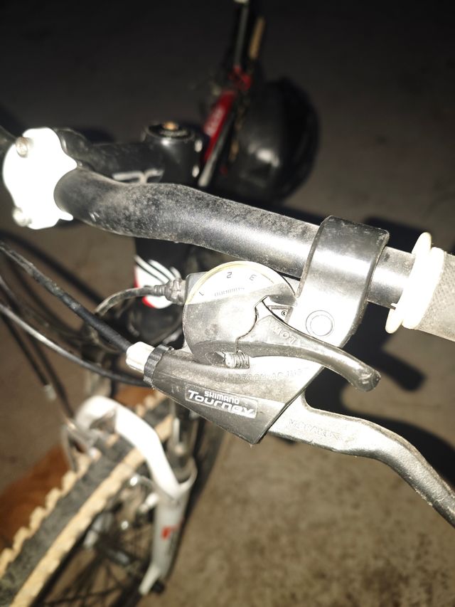 Mountain bike 