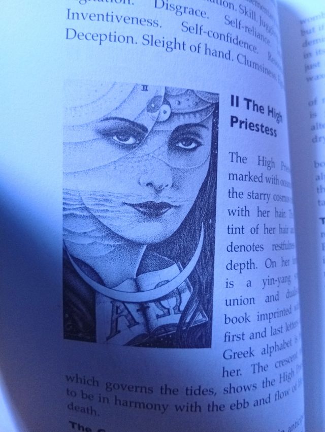 The Cosmic Tarot book libro en Inglés in English