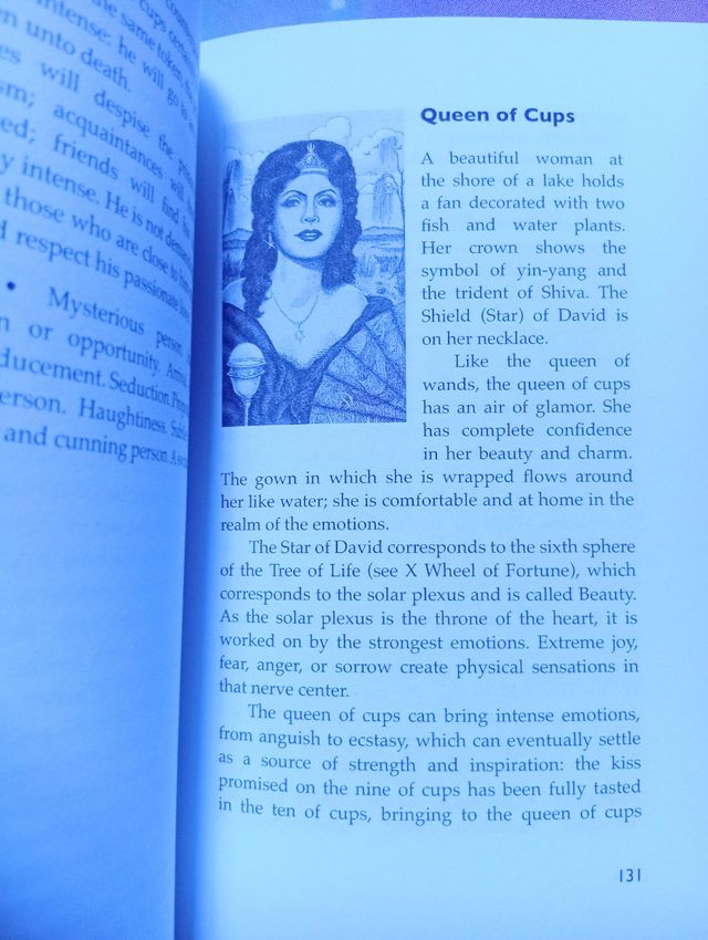 The Cosmic Tarot book libro en Inglés in English