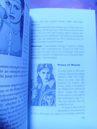 The Cosmic Tarot book libro en Inglés in English