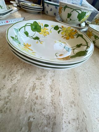 Villeroy & Boch Geranium Plato Hondo/ Ensaladera