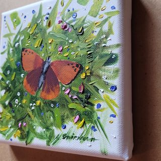 Dipinto Olio su Tela 13x13cm Farfalla